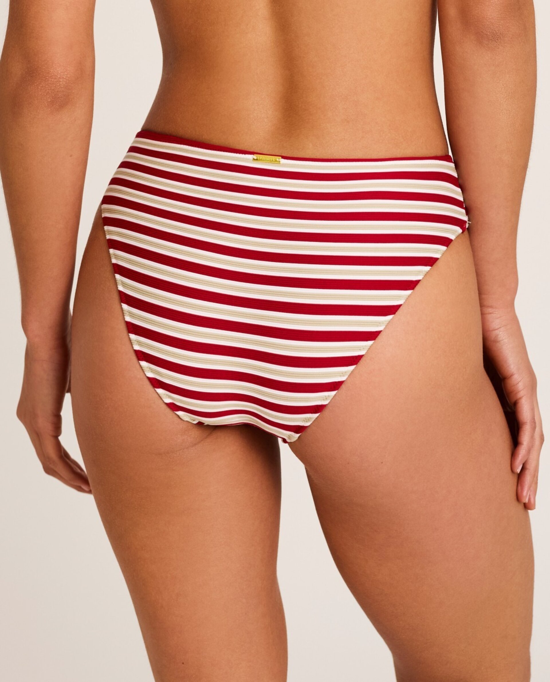 Bikini Rayas - 4