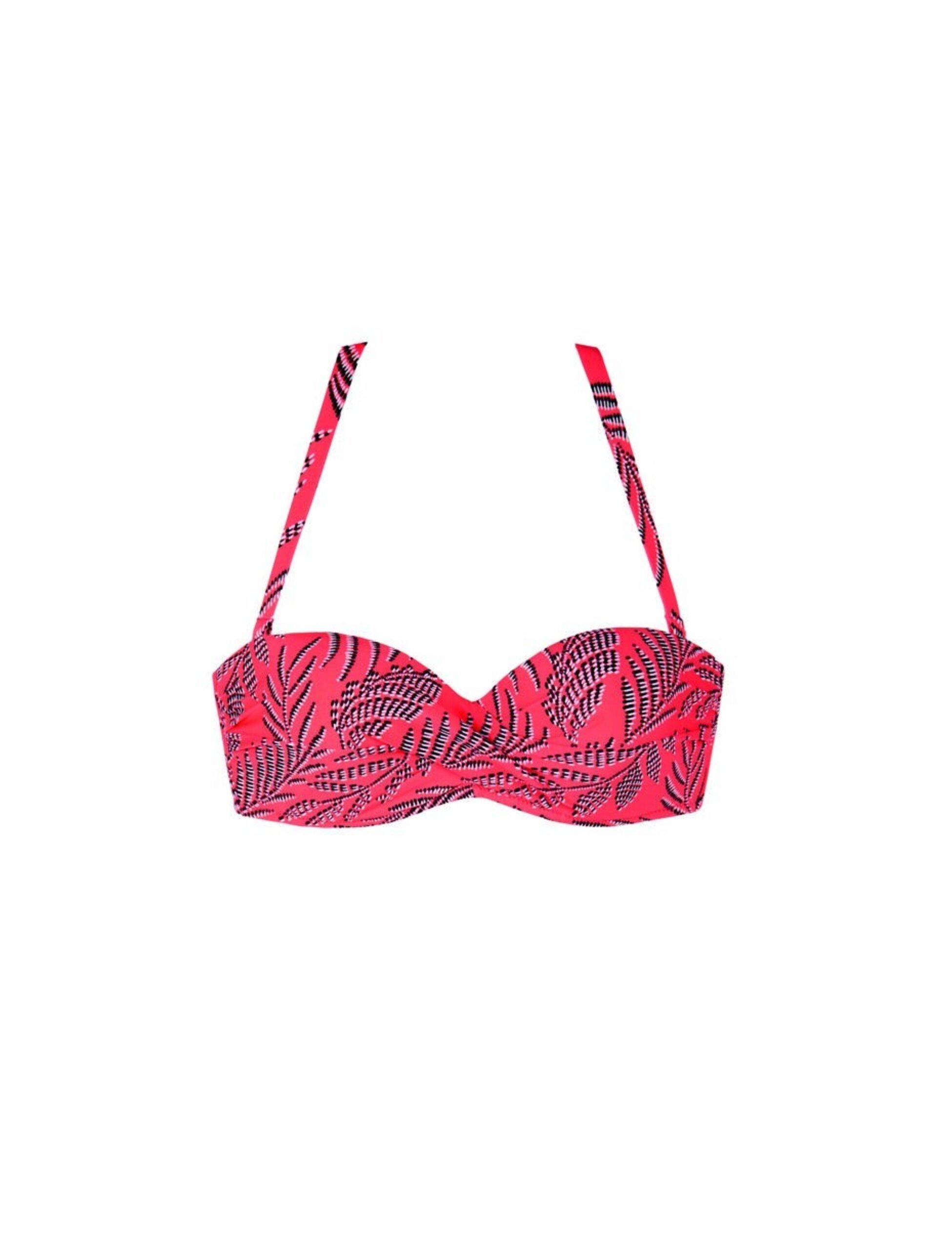 Bikini Coral - 6